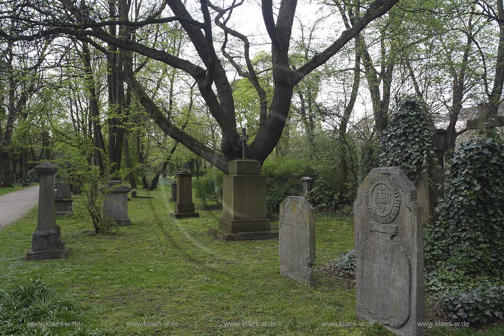 Golzheim, Dsseldorf, Duesseldorf, Niederrhein, Bergisches Land, Blick auf Golzheimer Friedhof mit Grabstaetten, Grabsttten