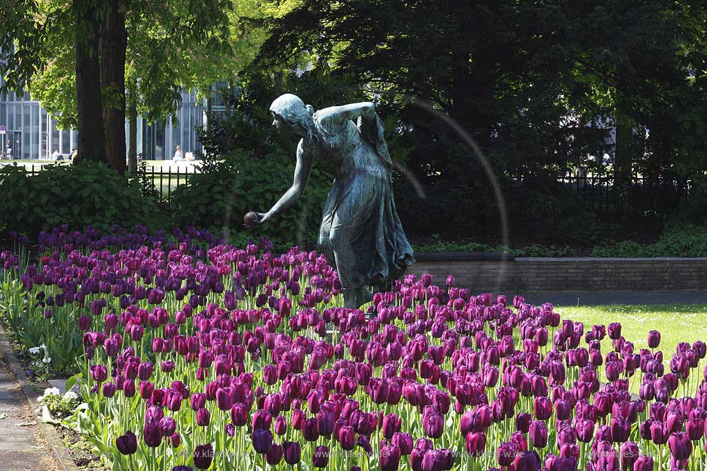 Knigsallee, Koenigsallee, K, Koe, Dsseldorf, Duesseldorf, Niederrhein, Bergisches Land, Blick auf Statue Kugelspielerin in Lila Tulpen Blumenbeet