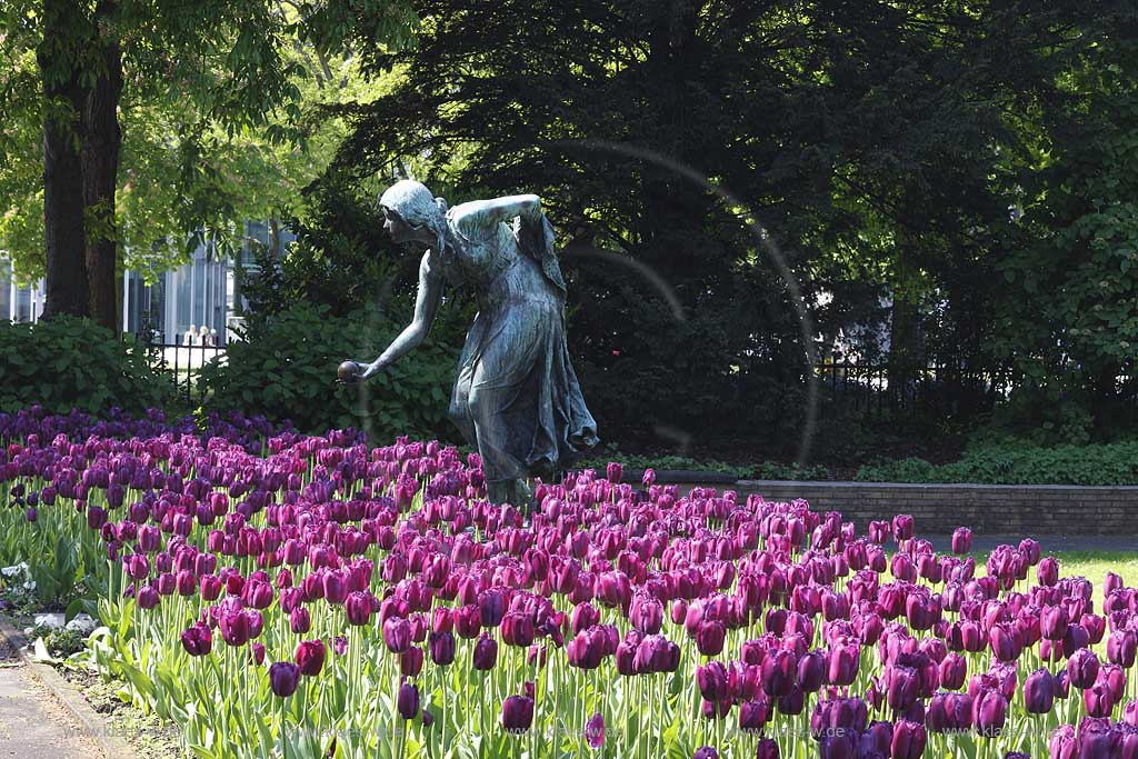 Knigsallee, Koenigsallee, K, Koe, Dsseldorf, Duesseldorf, Niederrhein, Bergisches Land, Blick auf Statue Kugelspielerin in Lila Tulpen Blumenbeet