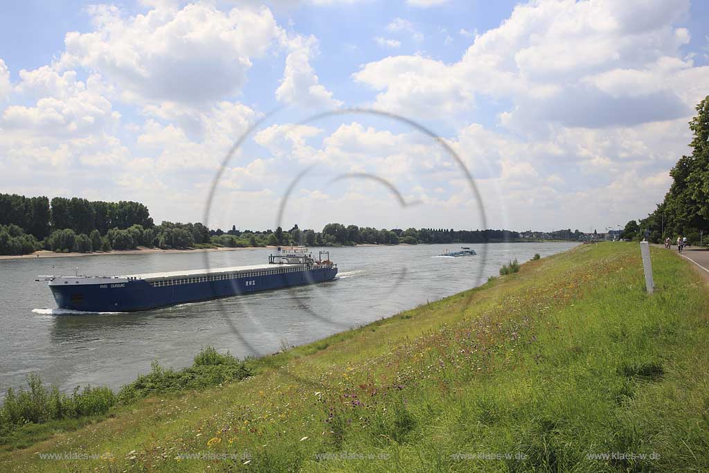 Blick auf den Volmeswerther Deich in Dsseldorf, Duesseldorf-Volmerswert mit Sicht auf Ufer, Uferwiese und Schiffen