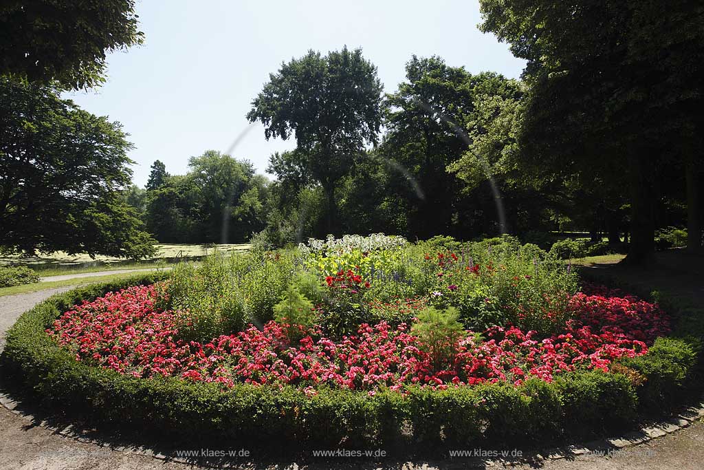 Blick auf eine Blumeninsel am Weiher in Dsseldorf, Duesseldorf-Wersten in Sommerstimmung