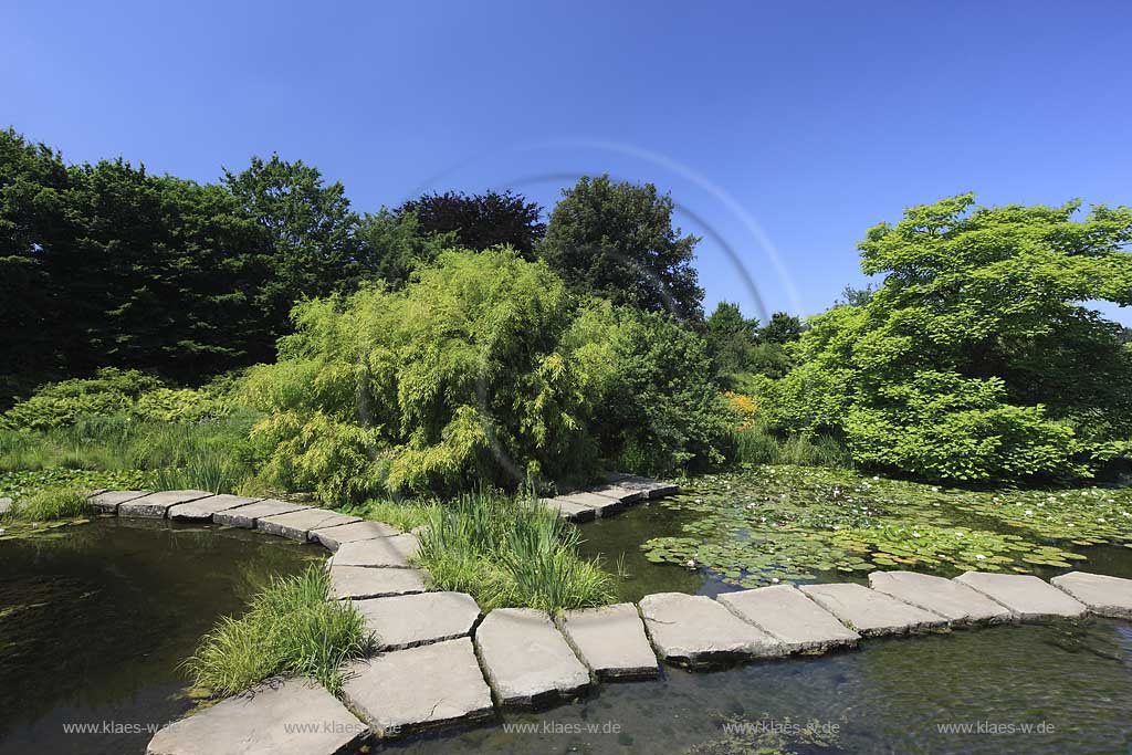 Blick in den Volksgarten in Dsseldorf, Duesseldorf-Wersten mit Sicht auf verschiedene Teiche und angelegte Natursteinwege in Sommerstimmung