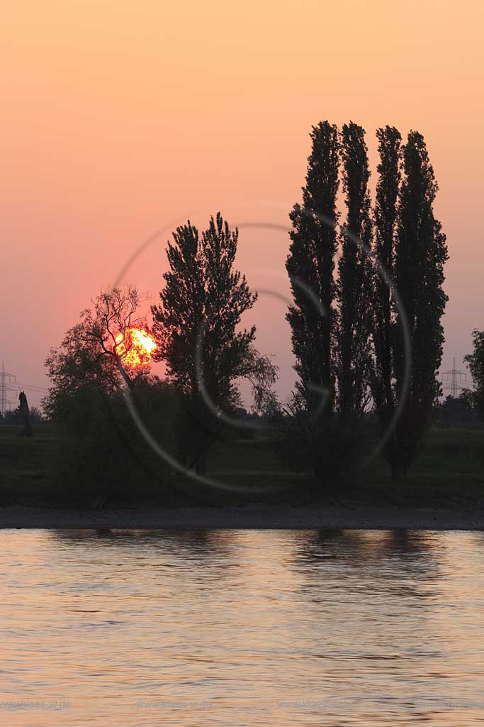 Wittlaer, Dsseldorf, Duesseldorf, Niederrhein, Bergisches Land, Blick auf Sonnenuntergang am Rhein mit Bumen, Baeumen, Abendstimmung