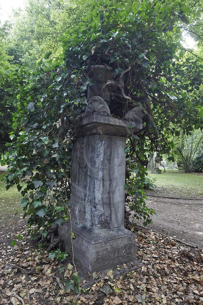 Duesseldorf Golzheim Golzheimer Friedhof, eine der bedeutendsten Gruenanlagen der Stadt Duesseldorf Grabmal alter Efeubewuchs, Hedera helix, auf dem Grabmal der Familie Uellenberg ; Duesseldorf-Golzheim, Golzheim cemetery, one of the most important parks, green space of Duesseldorf, ivy Hedera helix at the grave of family Uellenberg