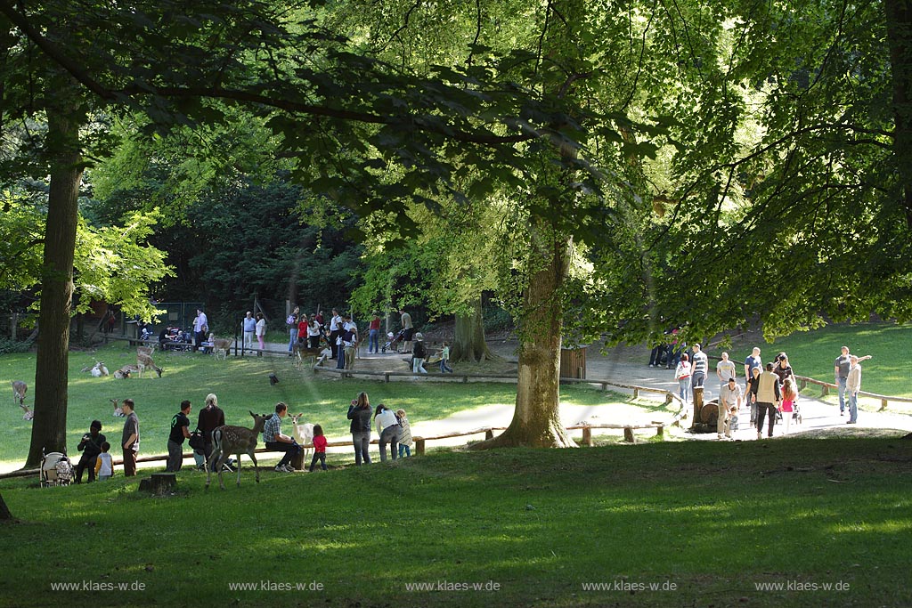 Duesseldorf-Grafenberg, Besucher im Wildpark mit Rehen und Ziegen auf der Wiese im Sommer; Duesseldorf-Grafenberg, visitors in wildlife park with deer and goats in the meadow in summer