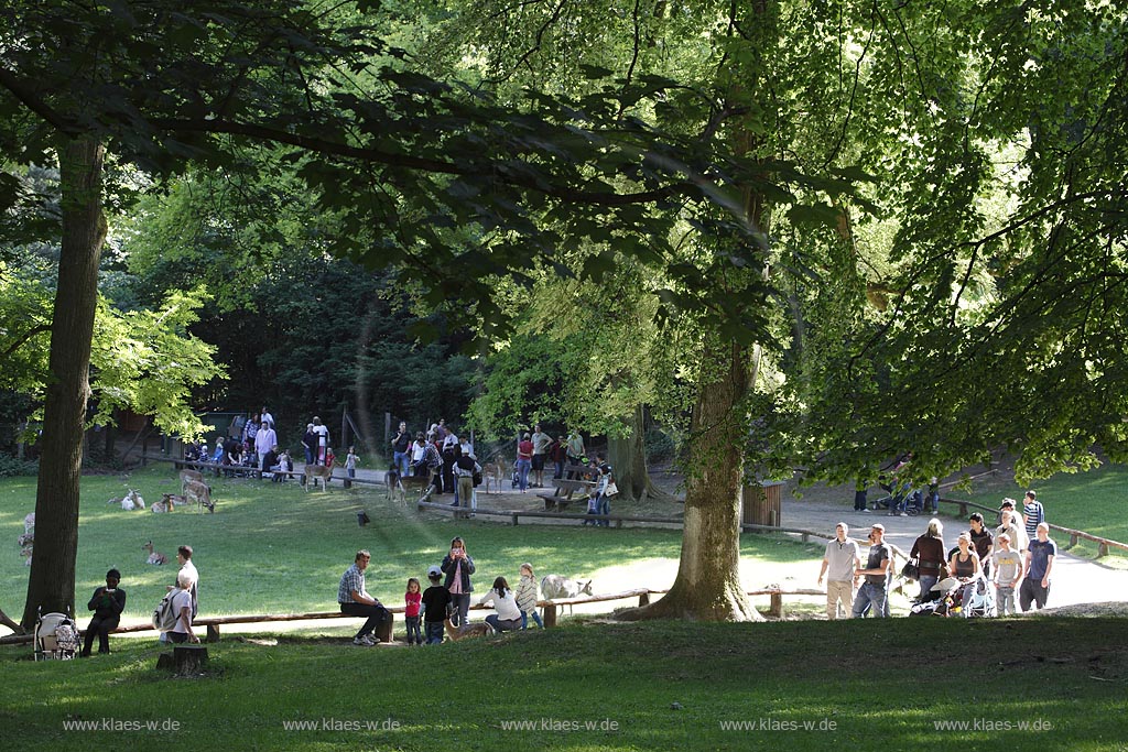 Duesseldorf-Grafenberg, Besucher im Wildpark mit Rehen und Ziegen auf der Wiese im Sommer; Duesseldorf-Grafenberg, visitors in wildlife park with deer and goats in the meadow in summer