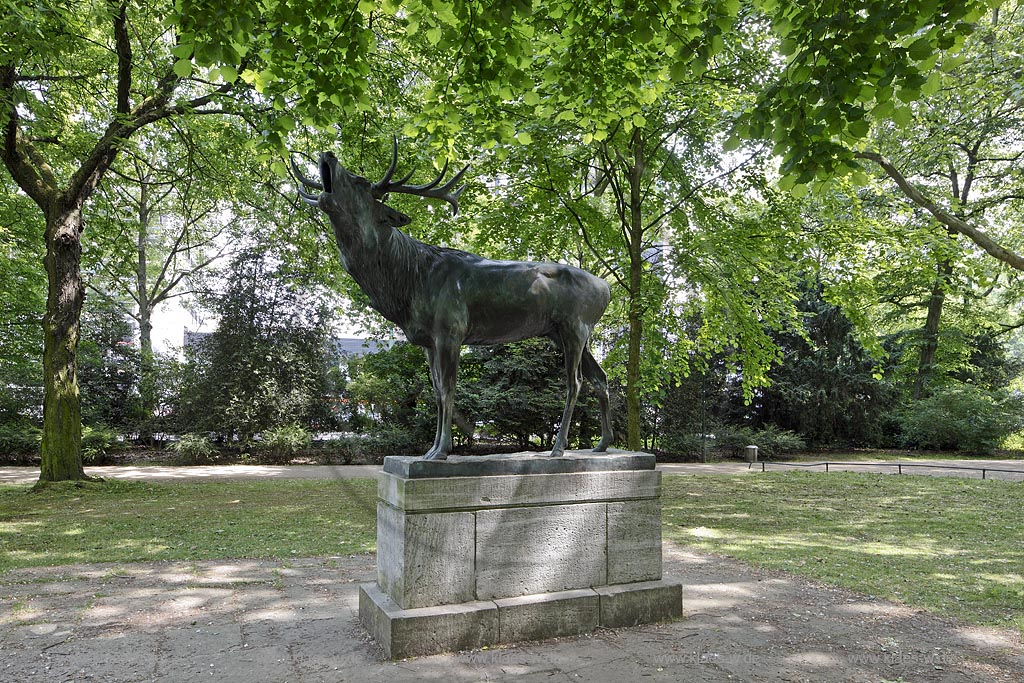 Duesseldorf Pempelfort, Hofgarten, Bronzeplastik  Roehrender Hirsch von Bildhauer Josef Pallenberg; Duesseldorf Pempelfort, bronze sculpture deer of sculptor Josef Pallenberg.