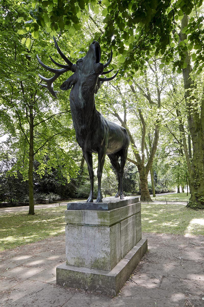 Duesseldorf Pempelfort, Hofgarten, Bronzeplastik  Roehrender Hirsch von Bildhauer Josef Pallenberg; Duesseldorf Pempelfort, bronze sculpture deer of sculptor Josef Pallenberg.