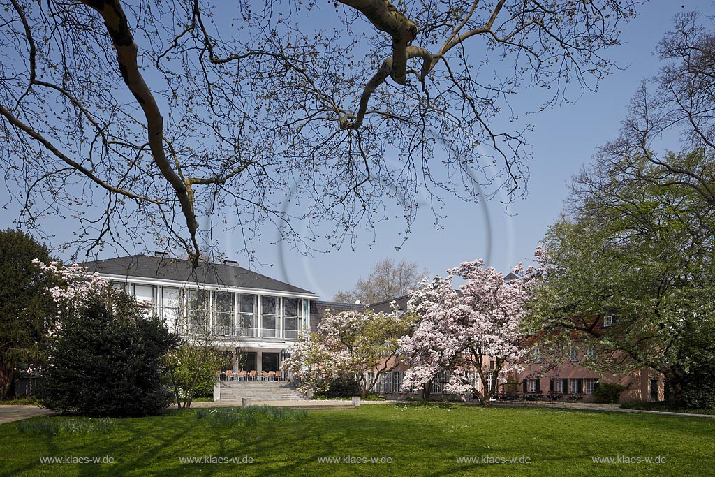 Duesseldorf Pempelfort Malkastengarten, Jacobigarten mit Blick zum Hentrichhaus im Fruehling mit bluehenden Magnolien bei wolkenlosem Himmel; Duesseldorf Pempelfort Jaobigarden view to Hentrichhouse with magnolia in flower and cloudless sky in springtime