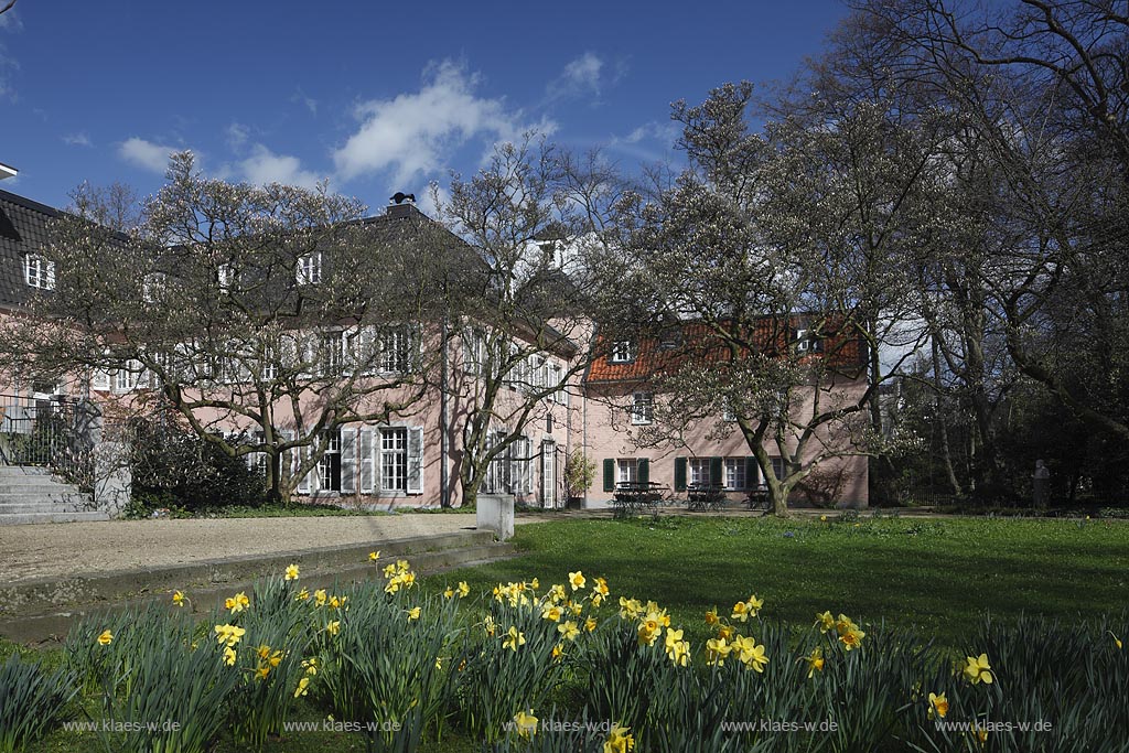 Duesseldorf Pempefort Malkastengarten, Jacobigarten Hentrichhaus im Fruehling mit gelben Narzissen und kahlen Baeumen; Duesseldorf Pempelfort Jacobigarden Hentrich house with yellow narcissus in springtime