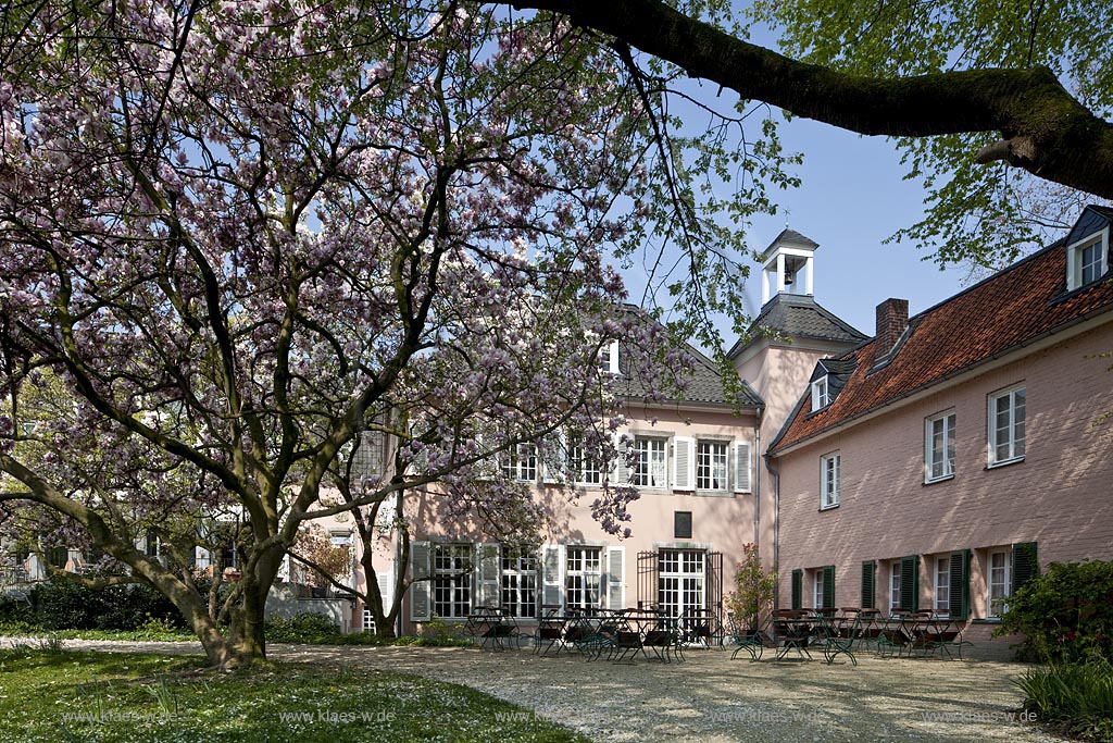 Duesseldorf Pempelfort Malkastengarten, Jacobigarten, Jacobihaus im Fruehling mit bluehenden Magnolien; Duesseldorf Pempelfort Jaobigarden Jacobihouse with magnolia in flower in springtime