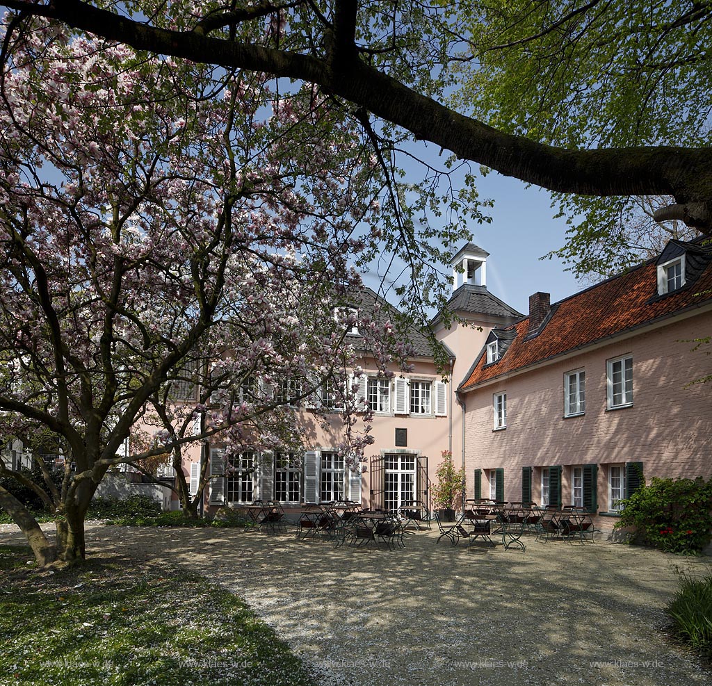 Duesseldorf Pempelfort Malkastengarten, Jacobigarten, Jacobihaus im Fruehling mit bluehenden Magnolien; Duesseldorf Pempelfort Jaobigarden Jacobihouse with magnolia in flower in springtime