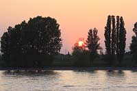 Wittlaer, Dsseldorf, Duesseldorf, Niederrhein, Bergisches Land, Blick auf Sonnenuntergang am Rhein mit Bumen, Baeumen, Abendstimmung