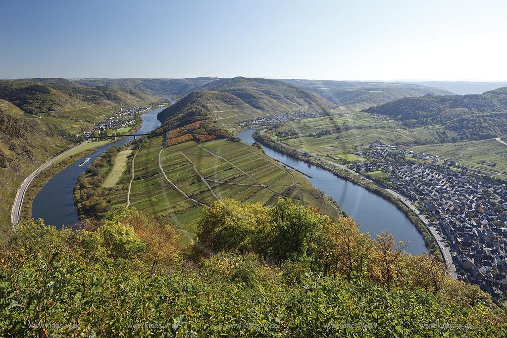 Bremm, Blick auf die Moselschleife an einem klaren Herbsttag bei extremer Fernsicht. Der Ort liegt an der wohl beruehmtesten Moselschleife und ist umgeben von den Rebhaengen des Calmont, der mit 380 Metern Hoehe und ca. 65 Grad Neigung steilsten Weinbergslage Europas; Bremm, clear view onto the well known loop of the river Moselle.