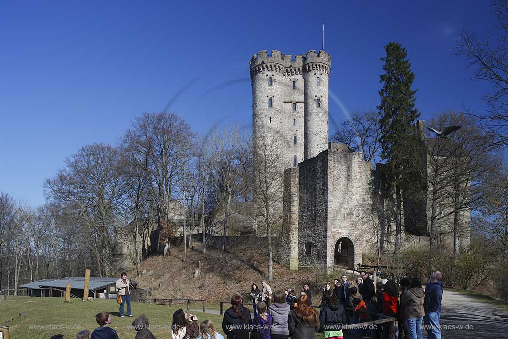 Gerolstein Pelm die Kasselburg mit Flugschau der Greifvogelwarte im Adlerpark mit Falknerin, Greifvogel und Zuschauern waehrend einer Vorfuehrung; Airshow with bird of prey at eaglepark in front of castle Kasselburg with falconer and public viewers