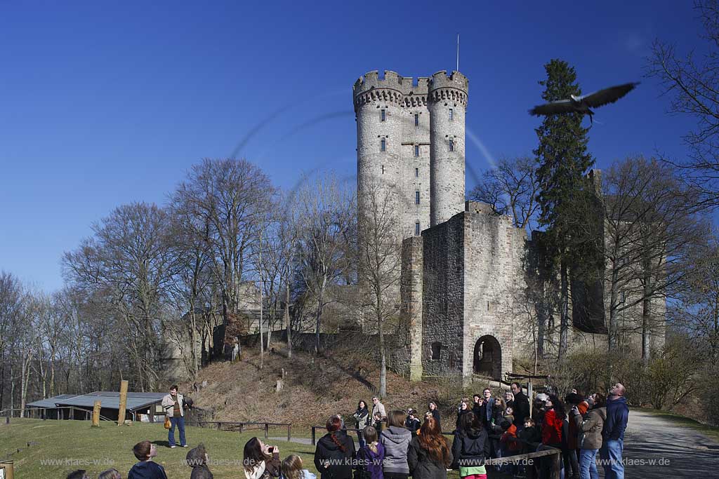 Gerolstein Pelm die Kasselburg mit Flugschau der Greifvogelwarte im Adlerpark mit Falknerin, Greifvogel und Zuschauern waehrend einer Vorfuehrung; Airshow with bird of prey at eaglepark in front of castle Kasselburg with falconer and public viewers