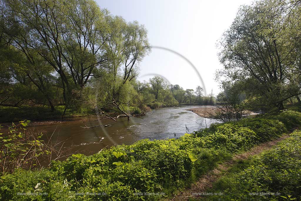 Juelich Kirchberg, Ruraue, Flusslauf der Rur, Rur river at Juelich Kirchberg