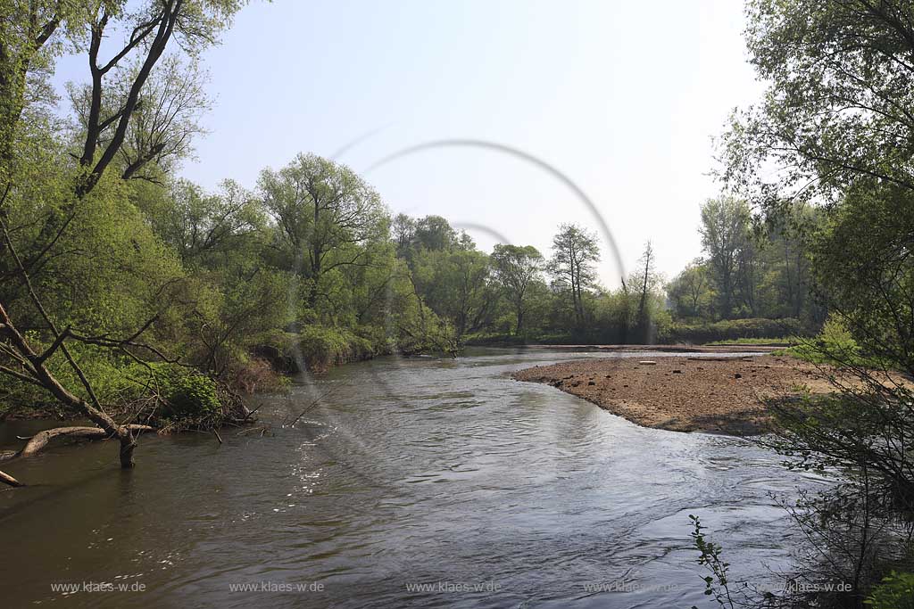 Juelich Kirchberg, Ruraue, Flusslauf der Rur, Rur river at Juelich Kirchberg