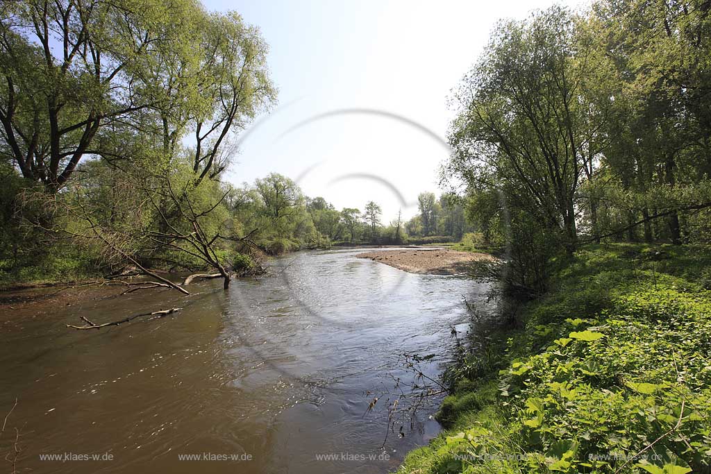 Juelich Kirchberg, Ruraue, Flusslauf der Rur, Rur river at Juelich Kirchberg