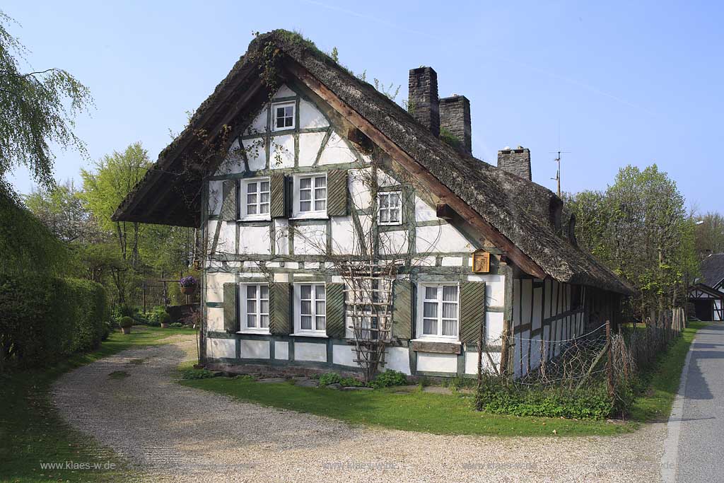 Monschau Hoefen, Fachwerkhaus, Vennhaus im Fruehling, Reetdach, Strohdach, Schilfdach, Heckenweg; Windschutzhecke; Monschau Hoefen, Fachwerkhaus, Venn house in Monschau Hoefen