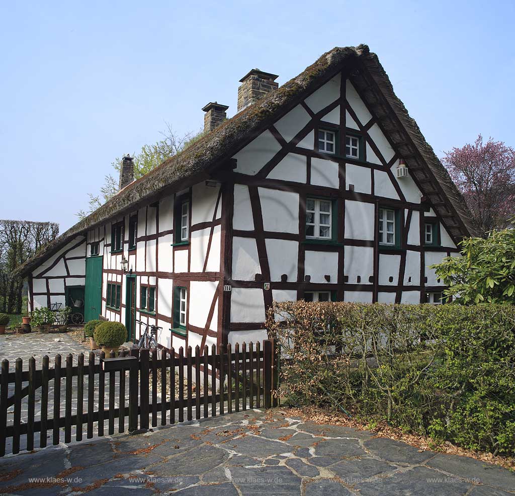 Monschau Hoefen, Fachwerkhaus, Vennhaus im Fruehling, Reetdach, Strohdach, Schilfdach, Heckenweg; Windschutzhecke; Monschau Hoefen, Fachwerkhaus, Venn house in Monschau Hoefen