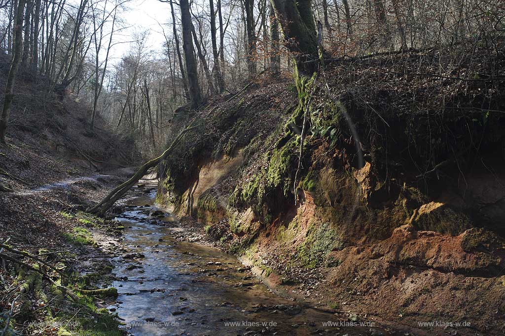 Trier Pallien, der Sirzenicher Bach mit roten Sandsteinfelsen; Beck Sirzenich with brownstone, sandstone rocks 