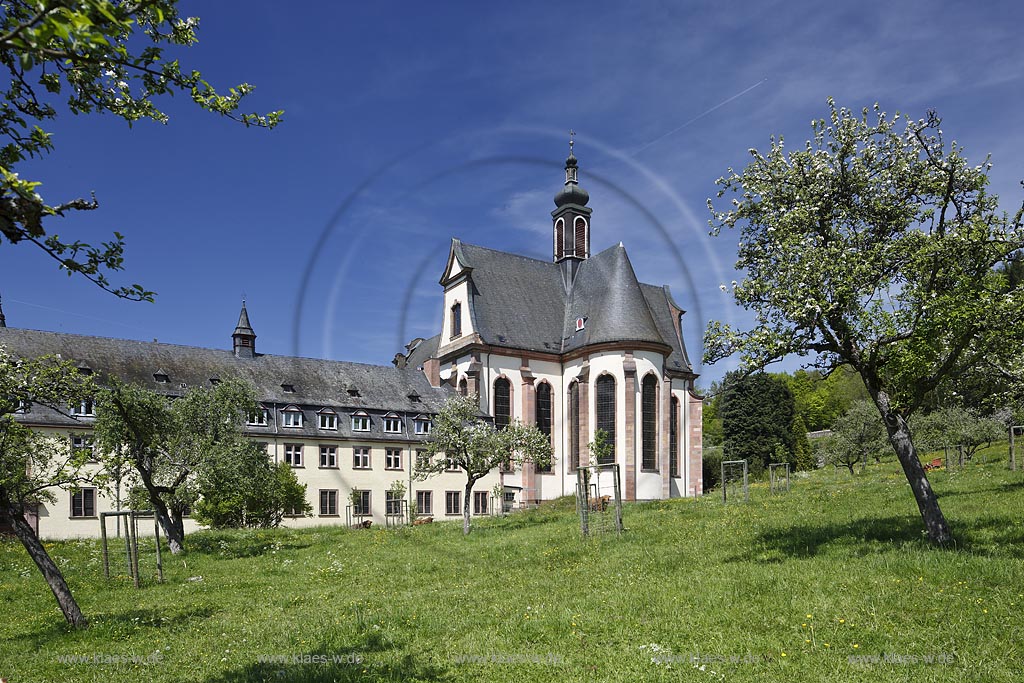 Grosslittgen. Abtei Himmerod, Blick auf die Aussenfassade mit dem Chor der barocken Abteikirche, Stiftskirche und dem links anschliessenden Fluegel des Klostergebaeudes; Grosslittgen, abbey Himmerod, view  to the outside facade of the baroque minster.