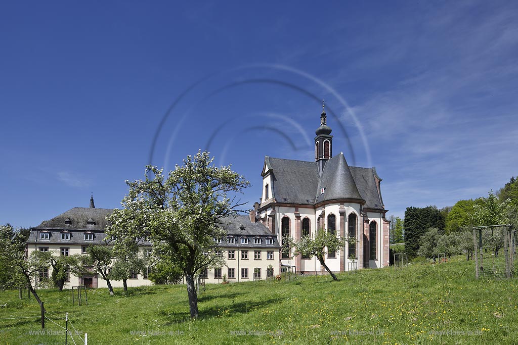 Grosslittgen. Abtei Himmerod, Blick auf die Aussenfassade mit dem Chor der barocken Abteikirche, Stiftskirche und dem links anschliessenden Fluegel des Klostergebaeudes; Grosslittgen, abbey Himmerod, view  to the outside facade of the baroque minster.