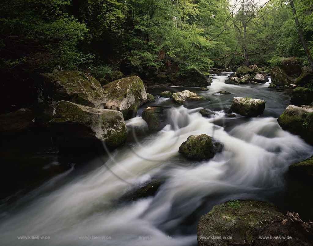 Irrel, Pruem, Prm, Eifelkreis Bitburg-Prm, Eifel, Blick auf Wasserfaelle, Wasserflle und Natur