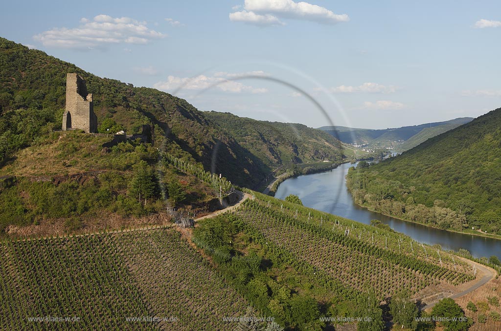 Klotten.Winzerort an der Mosel, Blick ins Moseltal mit Burg Coraidelstein, welche im Mittelalter Pfalzgrafensitz war. Die Burg ueberstand erstaunlicherweise die Reunionskriege, wurde dann aber ab 1830 zum groen Teil abgerissen. Heute ist sie Kuenstlerwerkstatt. Dort lebte und wohnte der Keramiker Wendelin Stahl, ein mit seinen Unikaten international anerkannter Kuenste; Klotten, town of winemaker at Moselle, view into the valley of Moselle with castle Burg Coraidelstein.