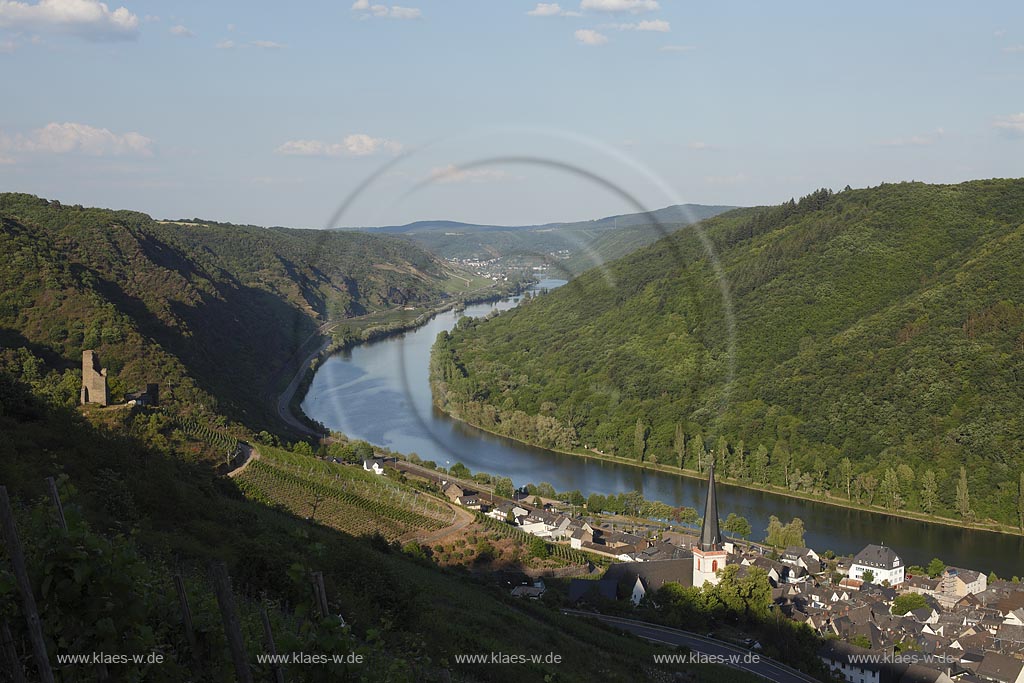 Klotten.Winzerort an der Mosel, Blick ins Moseltal mit Burg Coraidelstein, welche im Mittelalter Pfalzgrafensitz war. Die Burg ueberstand erstaunlicherweise die Reunionskriege, wurde dann aber ab 1830 zum groen Teil abgerissen. Heute ist sie Kuenstlerwerkstatt. Dort lebte und wohnte der Keramiker Wendelin Stahl, ein mit seinen Unikaten international anerkannter Kuenste; Klotten, town of winemaker at Moselle, view into the valley of Moselle with castle Burg Coraidelstein.