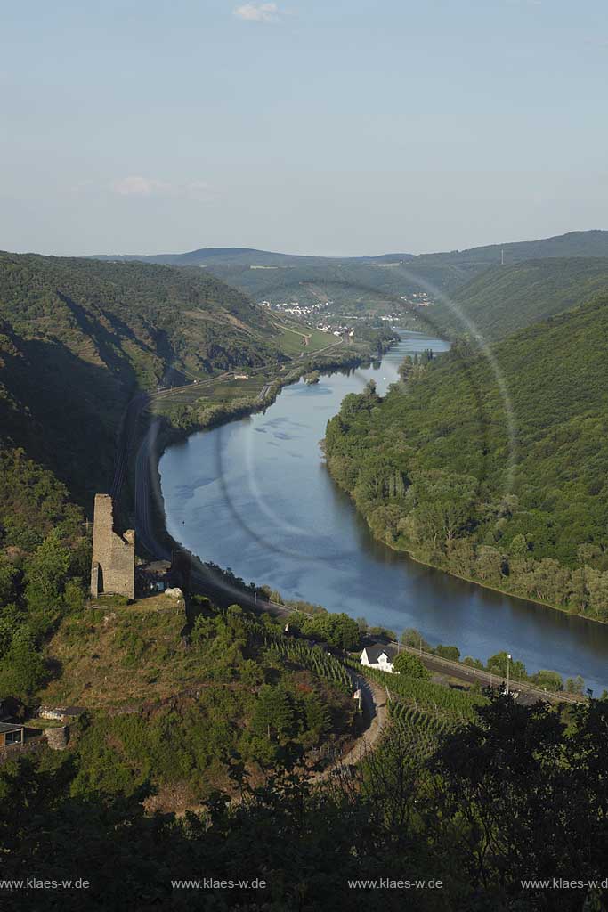 Klotten.Winzerort an der Mosel,Blick ins Moseltal mit Burg Coraidelstein, welche im Mittelalter Pfalzgrafensitz war. Die Burg ueberstand erstaunlicherweise die Reunionskriege, wurde dann aber ab 1830 zum groen Teil abgerissen. Heute ist sie Kuenstlerwerkstatt. Dort lebte und wohnte der Keramiker Wendelin Stahl, ein mit seinen Unikaten international anerkannter Kuenste; Klotten, town of winemaker at Moselle, view into the valley of Moselle with castle Burg Coraidelstein.