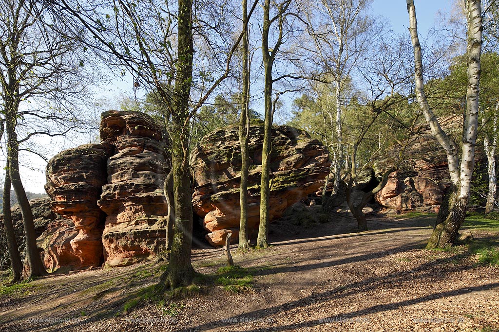 Mechernich die Katzensteine, eine natuerliche Felsformation, Felsen aus Buntsandstein am Rande des Mechernicher Waldes im waremen Licht der tiefstehenden Abendsonne im Fruehling; Euskirchen natural rocks named Katensteine from red sandstone in evening sunlight