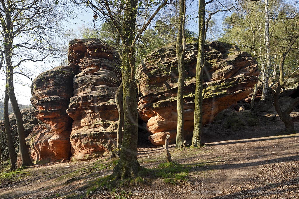 Mechernich die Katzensteine, eine natuerliche Felsformation, Felsen aus Buntsandstein am Rande des Mechernicher Waldes im waremen Licht der tiefstehenden Abendsonne im Fruehling; Euskirchen natural rocks named Katensteine from red sandstone in evening sunlight