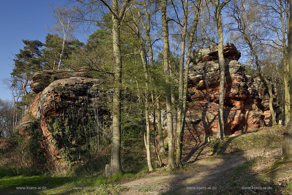 Mechernich die Katzensteine, eine natuerliche Felsformation, Felsen aus Buntsandstein am Rande des Mechernicher Waldes im waremen Licht der tiefstehenden Abendsonne im Fruehling; Euskirchen natural rocks named Katensteine from red sandstone in evening sunlight