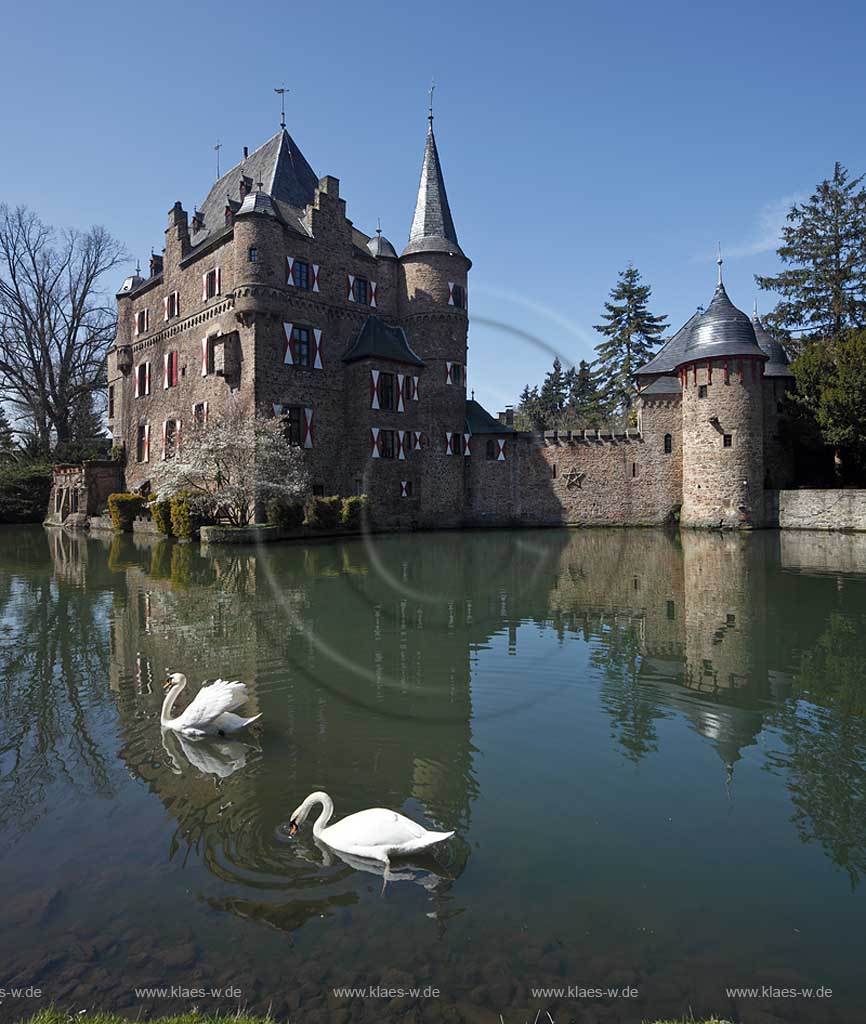 Mechernich Satzvey Burg Satzvey mit Hoeckerschwan Paar auf dem Wassergraben vor der Burg Satzvey im Fruehling; Mechernich moated castle Satzvey with a  muteswan pair 