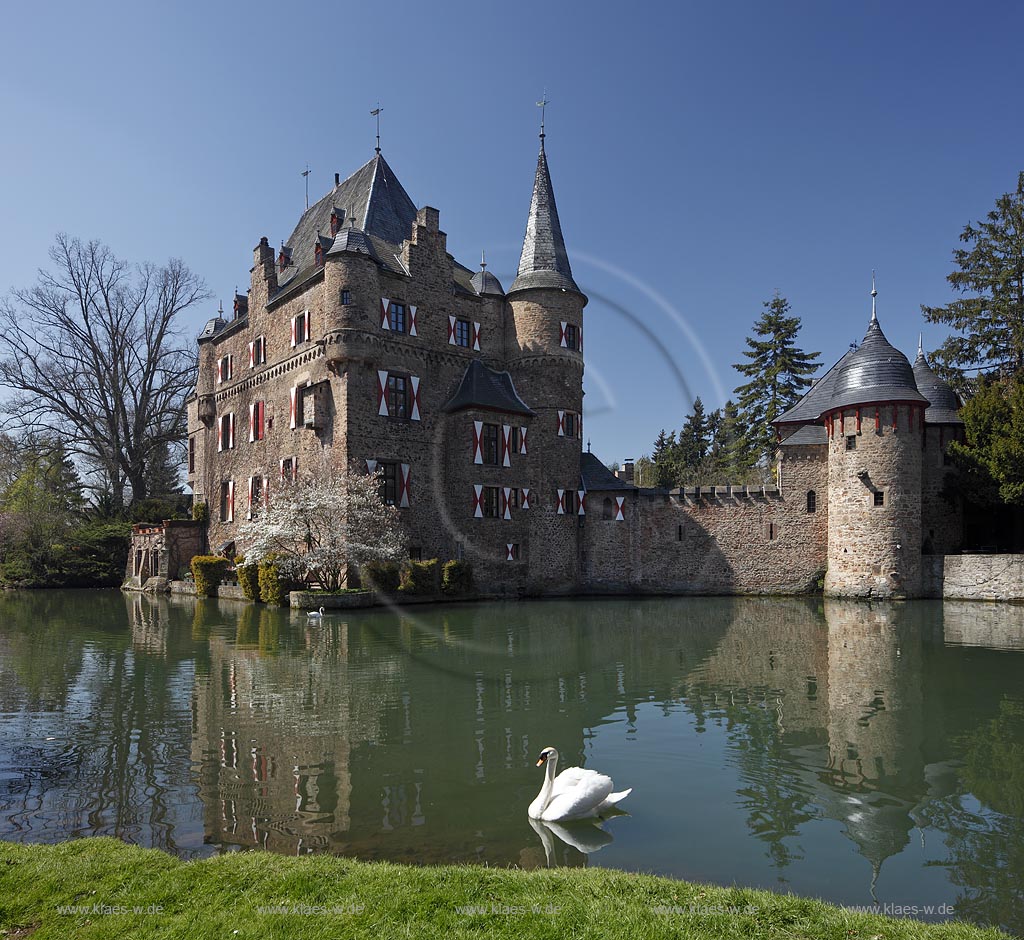 Mechernich Satzvey Burg Satzvey mit Hoeckerschwan Paar auf dem Wassergraben vor der Burg Satzvey im Fruehling; Mechernich moated castle Satzvey with a  muteswan pair courtship behavior,