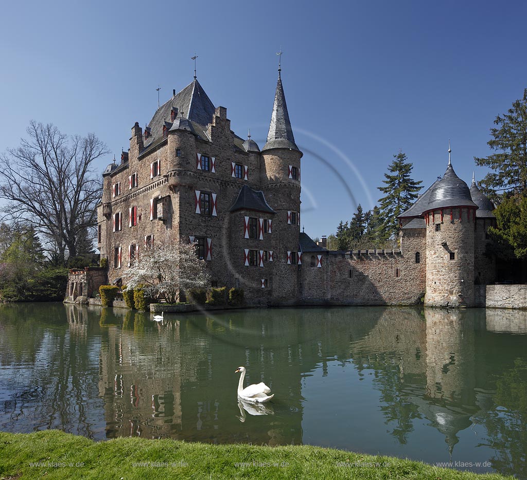 Mechernich Satzvey Burg Satzvey mit Hoeckerschwan auf dem Wassergraben vor der Burg Satzvey im Fruehling; Mechernich moated castle Satzvey with a  mute swan