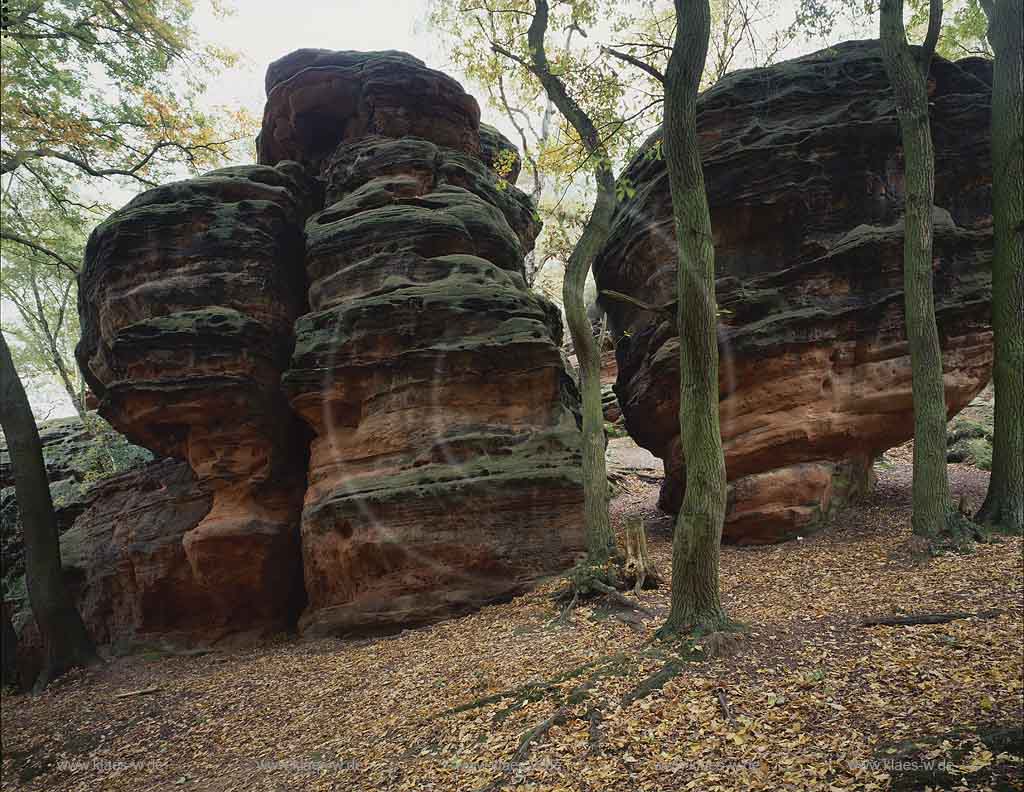 Katvey, Mechernich, Kreis Euskirchen, Eifel, Blick auf Katzensteine, Buntsandstein-Naturfelsen, im Herbstwald  