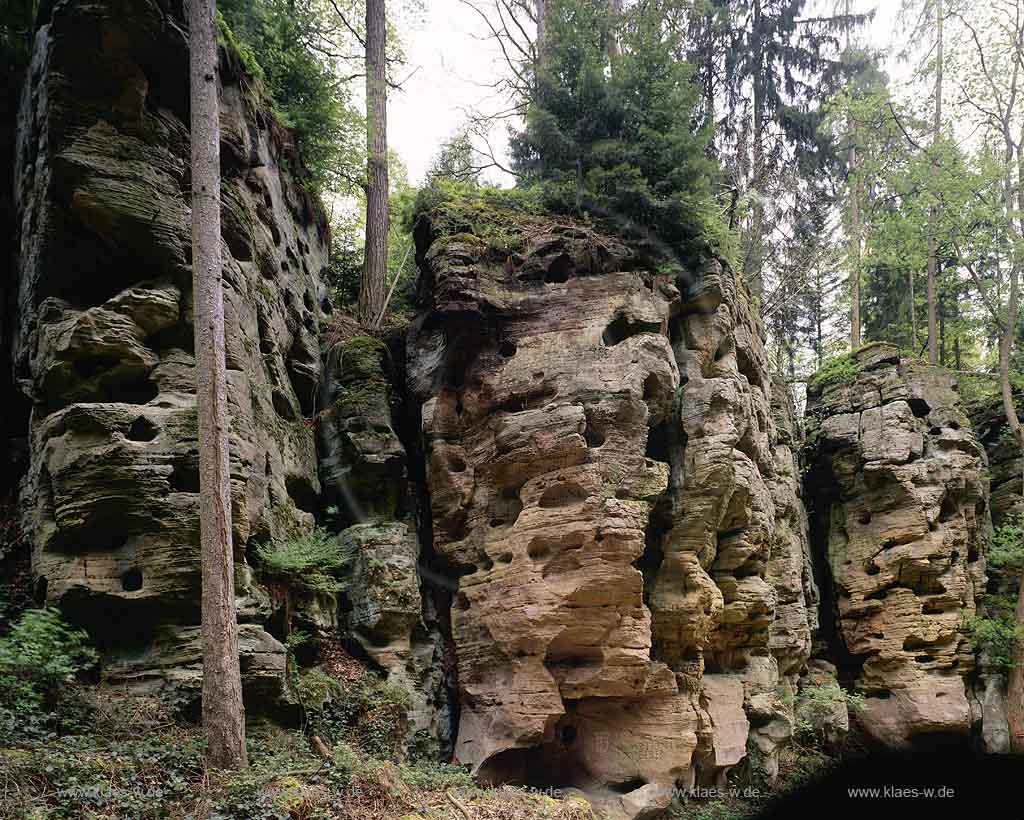 Ferschweiler, Eifel, Eifelkreis Bitburg-Prm, Verbandsgemeinde Irrel, Blick auf Ferschweiler Plateau, Schweinestaelle, Schweinestlle, Neolithische Sttte    