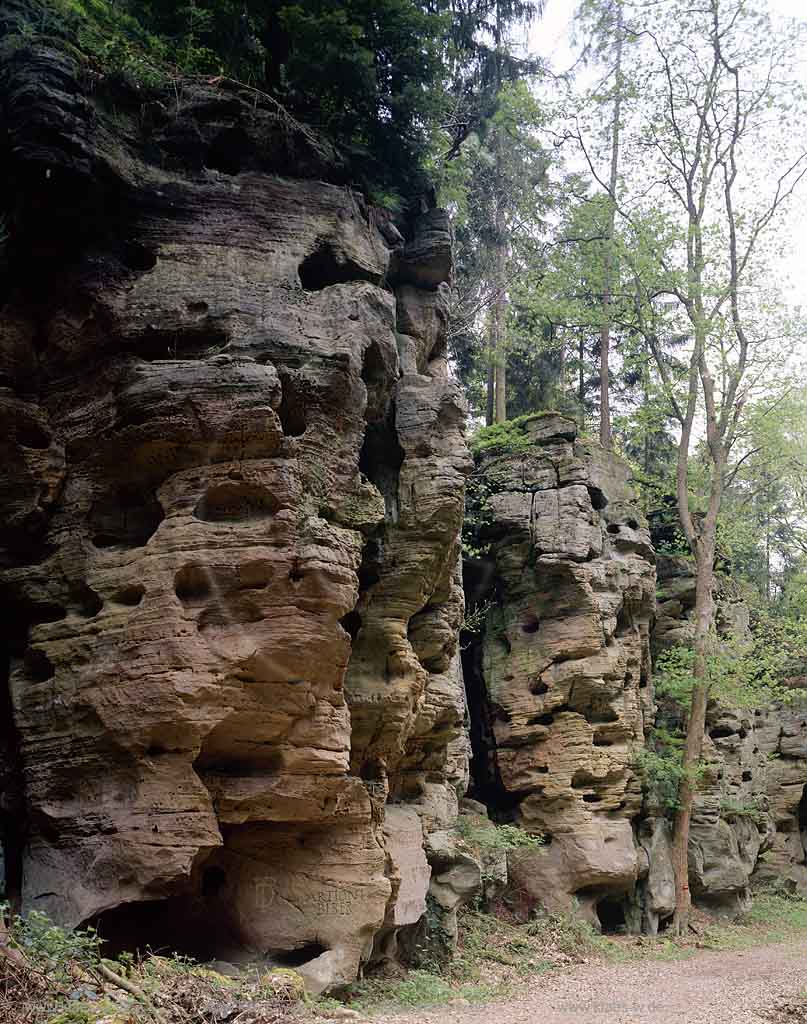 Ferschweiler, Eifel, Eifelkreis Bitburg-Prm, Verbandsgemeinde Irrel, Blick auf Ferschweiler Plateau, Schweinestaelle, Schweinestlle, Neolithische Sttte    