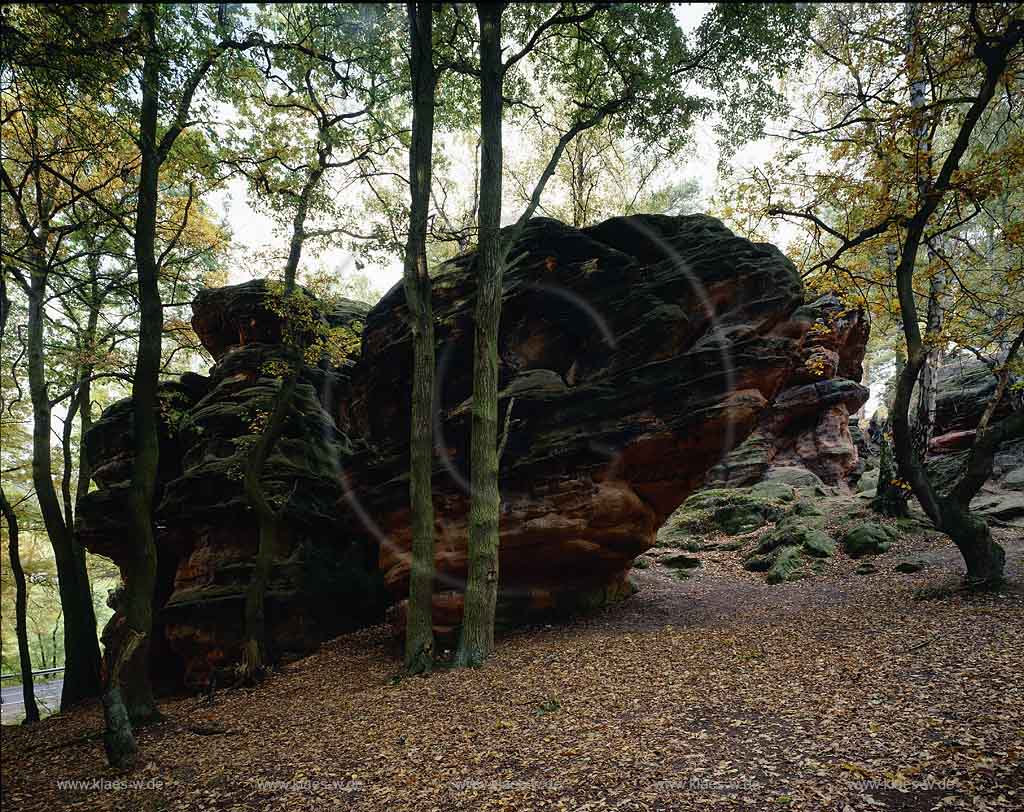 Katvey, Mechernich, Kreis Euskirchen, Eifel, Blick auf Katzensteine, Buntsandstein-Naturfelsen, im Herbstwald  