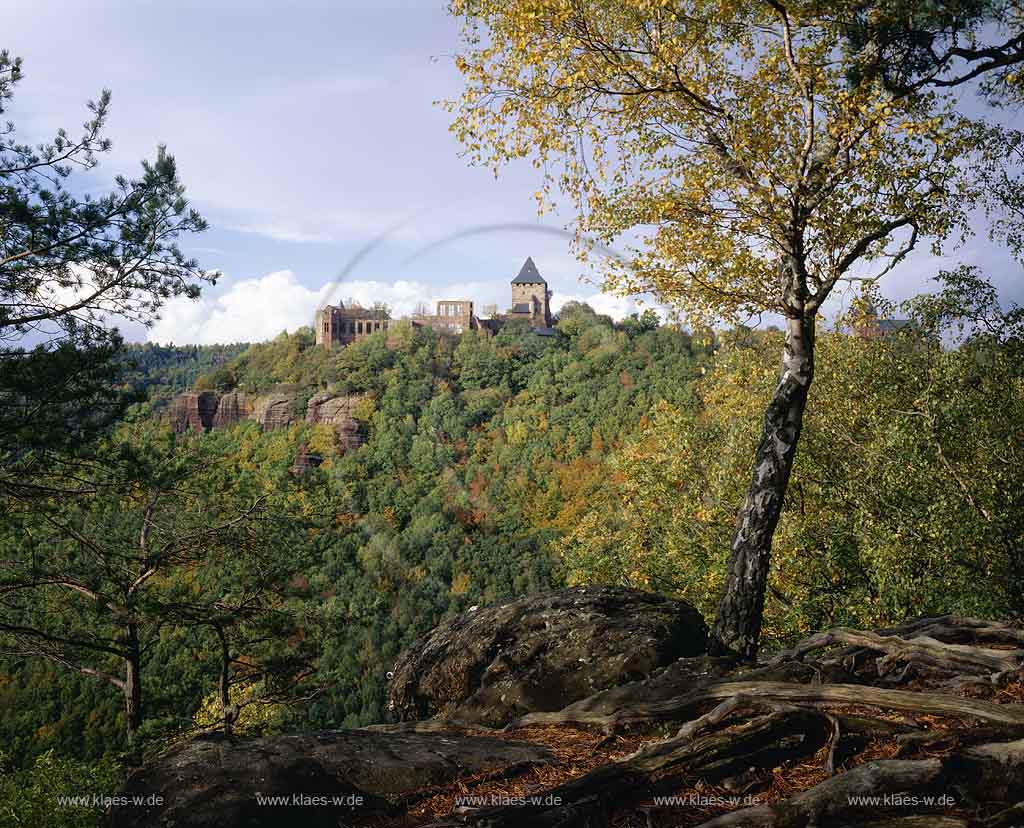 Nideggen, Kreis Dren, Eifel, Blick zur Burg Nideggen, Bergfried, in Herbstlandschaft 