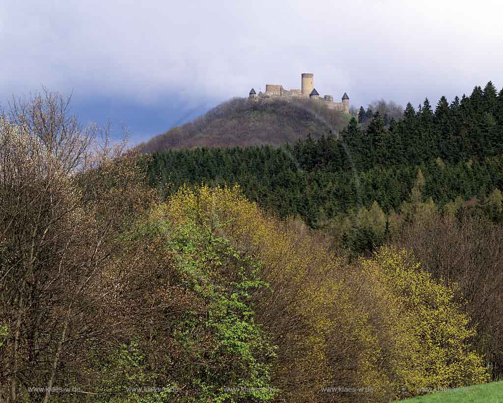 Nuerburg, Nrburg, Landkreis Ahrweiler, Eifel, Verbandsgemeinde Adenau, Blick zur Nrburg, Nuerburg und Landschaft im Frhling, Fruehling