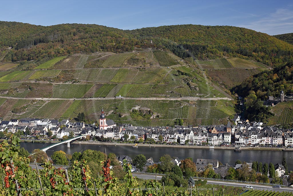 Zell Mosel, Blick von Weinbergen ueber den Fluss Mosel zur Stadt; View onto Zell (Mosel)