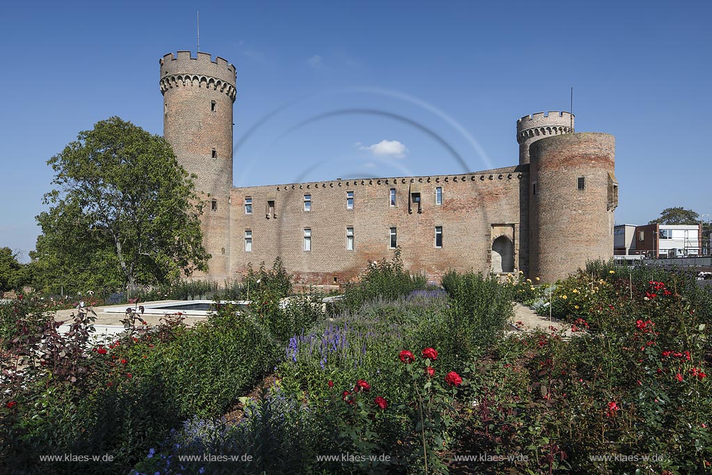 Zuelpich, Blick ueber Rosengarten zur Kurkoelnischen Landesburg, sie wurde Ende des 14. Jahrhunderts errichtet und zaehlt zu den klassischen Kastellburgen; Zuelpich, castle Kurkoelnische Landesburg.