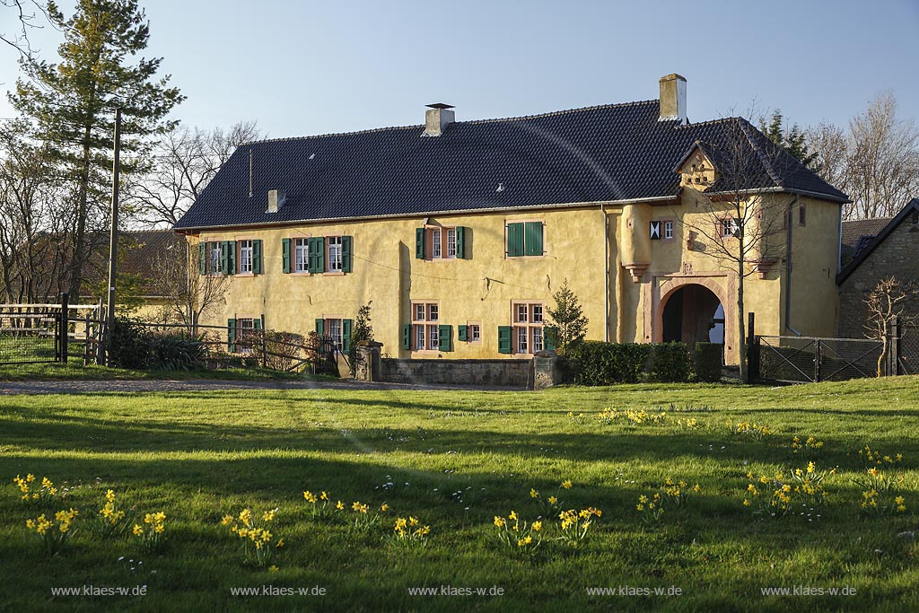 Zuelpich-Schwerfen, Wasserburg Burg Irnich, 14. Jahrhndert, Blick zum Torhaus, Fruehling mit bluehenden gelben Narzissen; Zuelpich-Schwerfen moated castle Irnich, 14th century in springtime with yellow narcissi in flower.