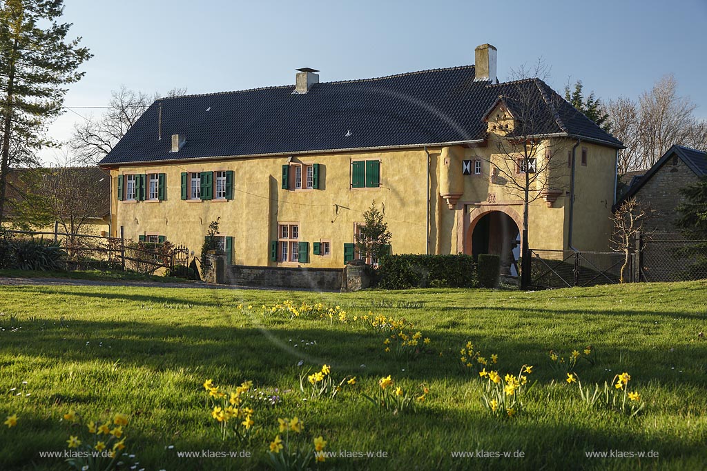 Zuelpich-Schwerfen, Wasserburg Burg Irnich, 14. Jahrhndert, Blick zum Torhaus, Fruehling mit bluehenden gelben Narzissen; Zuelpich-Schwerfen moated castle Irnich, 14th century in springtime with yellow narcissi in flower.