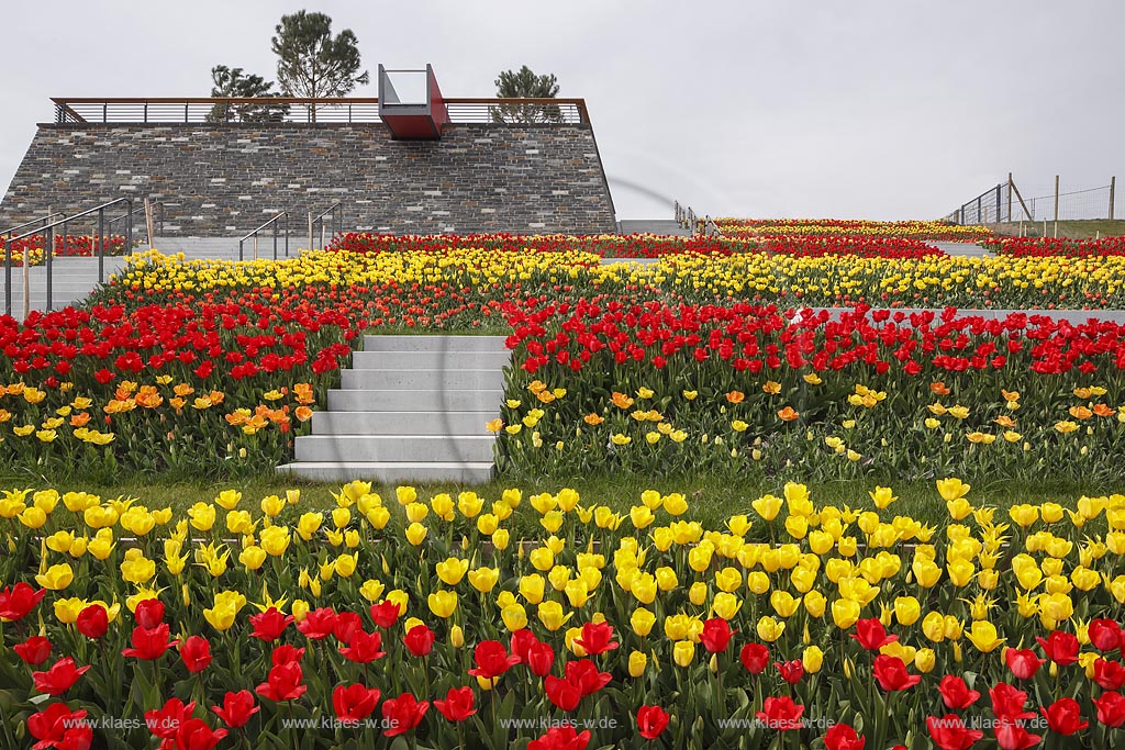 Zuelich, Seepark, die Roemerbastion mit bluehenden roten und gelben Tulpen, landesgartenschaugelaende; Zuelpich, regional garden and flower festival "Landesgartenschau" Zuelpich 2014, "Roemerbastiion" with red and yellow  tulips in flower.