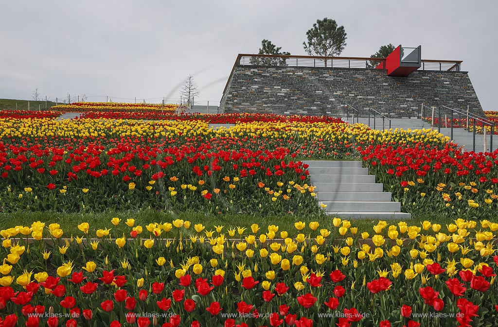 Zuelich, Seepark, die Roemerbastion mit bluehenden roten und gelben Tulpen, landesgartenschaugelaende; Zuelpich, regional garden and flower festival "Landesgartenschau" Zuelpich 2014, "Roemerbastiion" with red and yellow  tulips in flower.